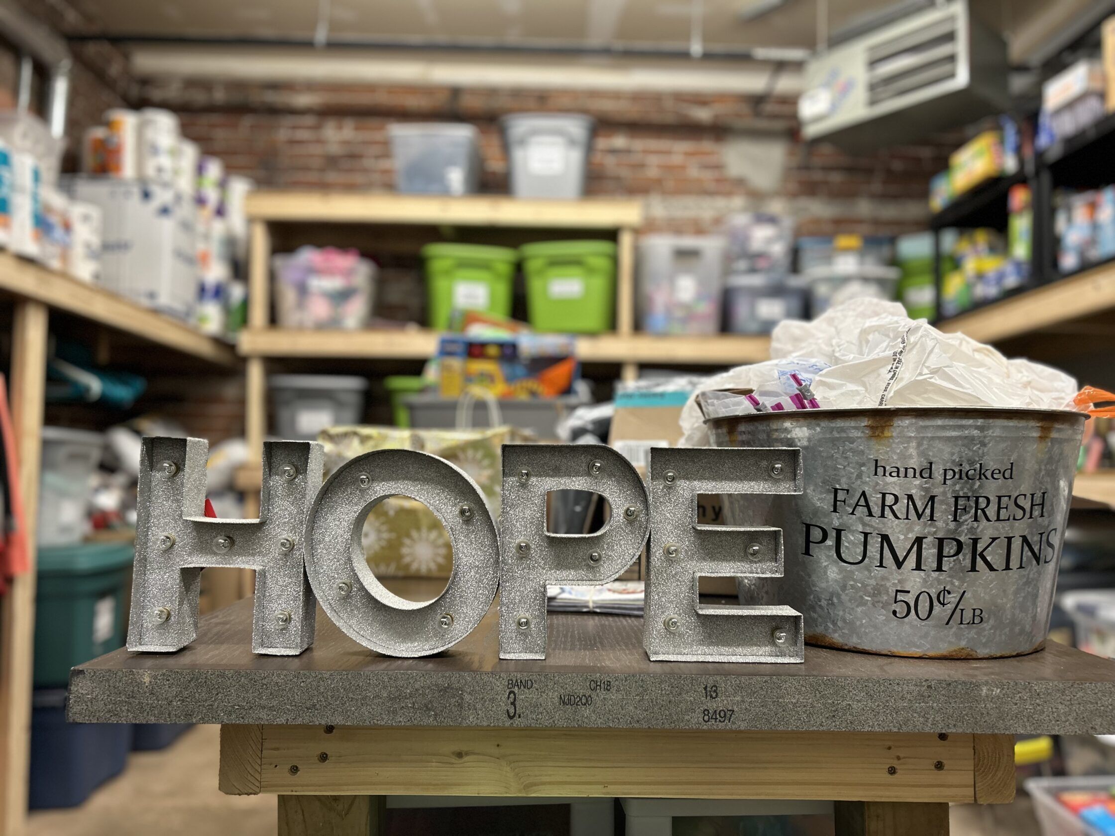 Nebraska lawmakers earmarked $3 million for a statewide network of domestic violence service providers. But the fund lawmakers tapped doesn’t have enough money to cover all the priorities legislators approved. Photo by Emily Wolf / Flatwater Free Press