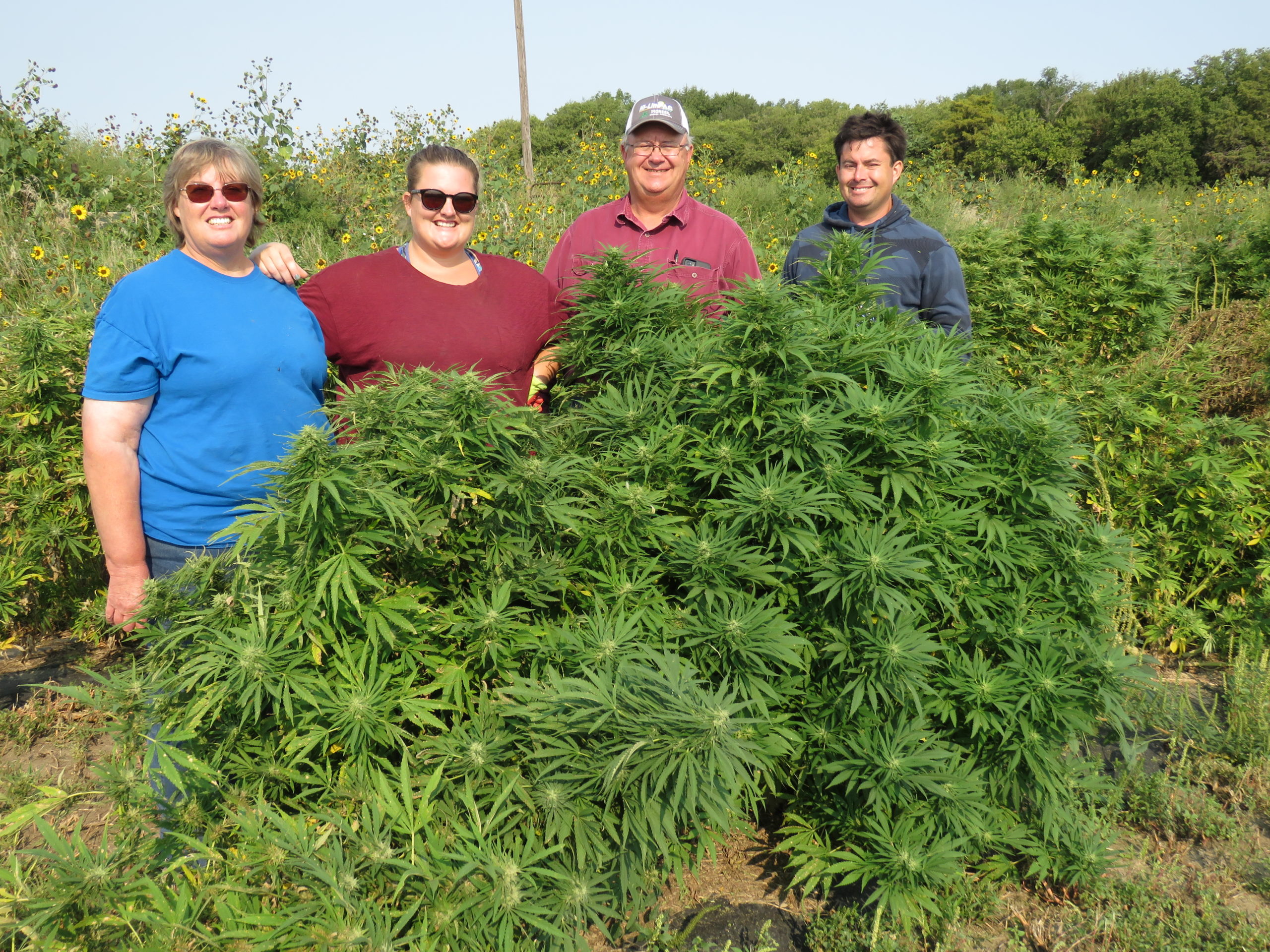 The Schwarzes, from left, Linda, Becky, Tom and Alex, have grown hemp since 2020, the first year Nebraska issued licenses to growers and processors. Their main farming business near Smithfield is growing certified organic corn, soybeans, alfalfa, field peas and cane. (Photo by Lori Potter, Flatwater Free Press)