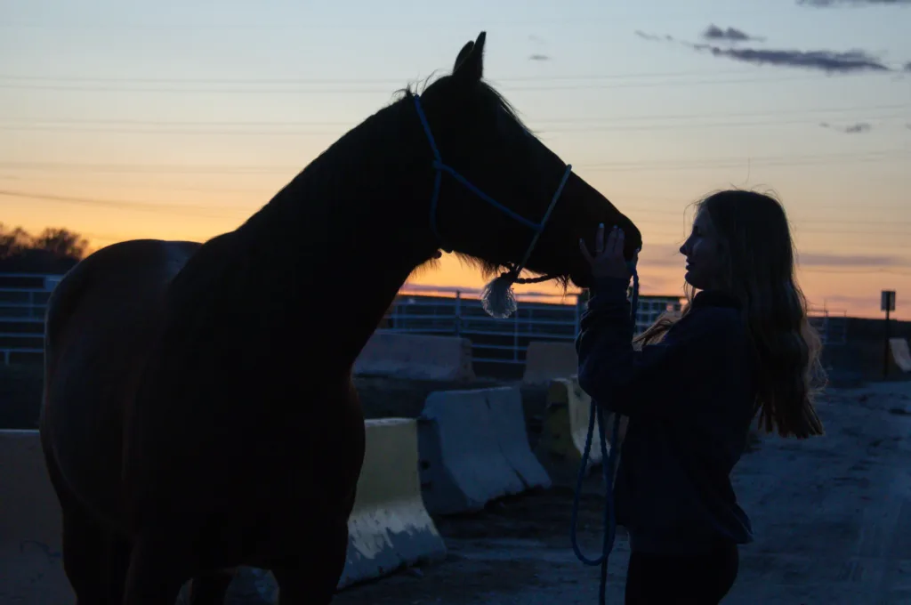 A silhouette of a girl facing a horse.