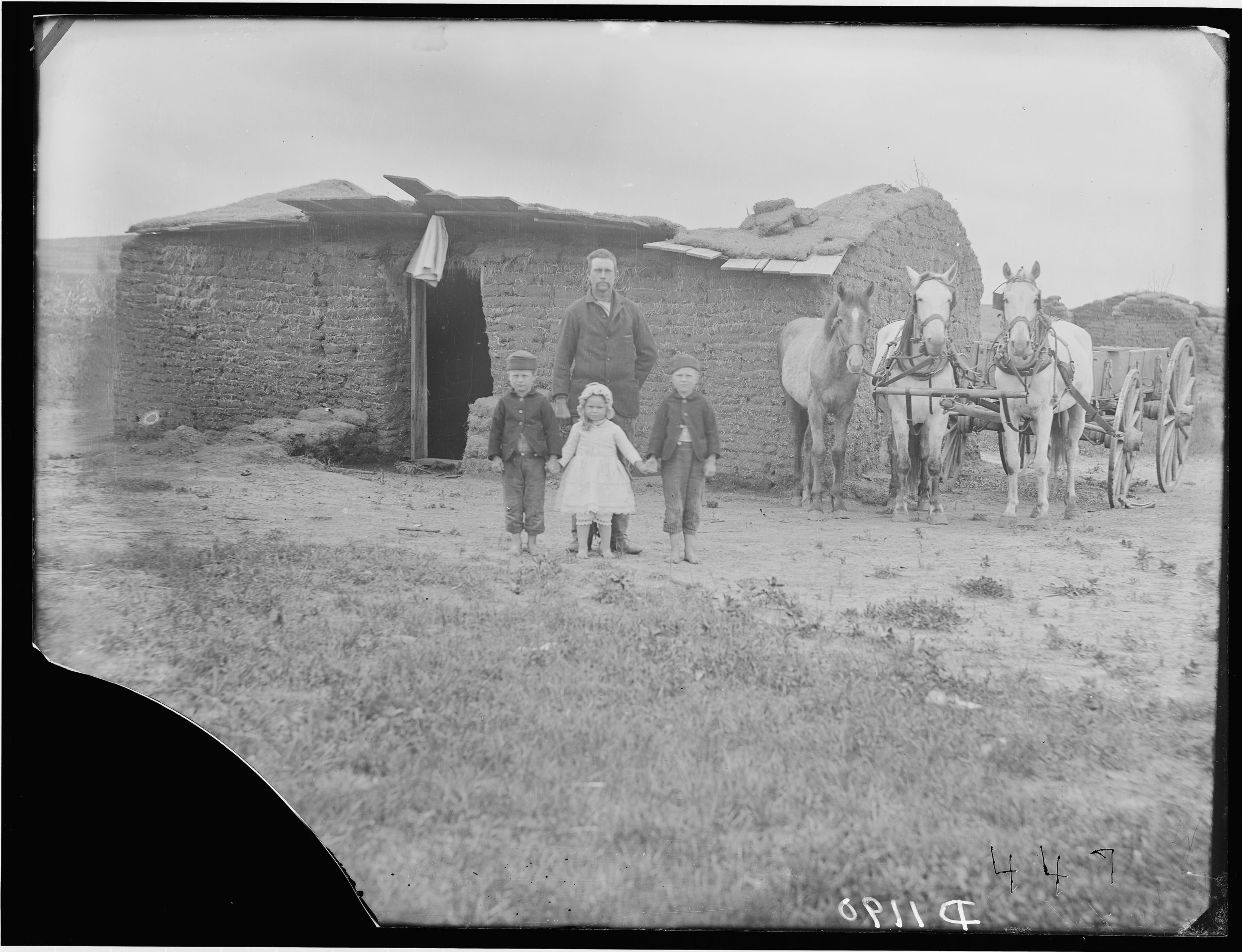 Why they came: Homesteader myths, reality shape modern Nebraska