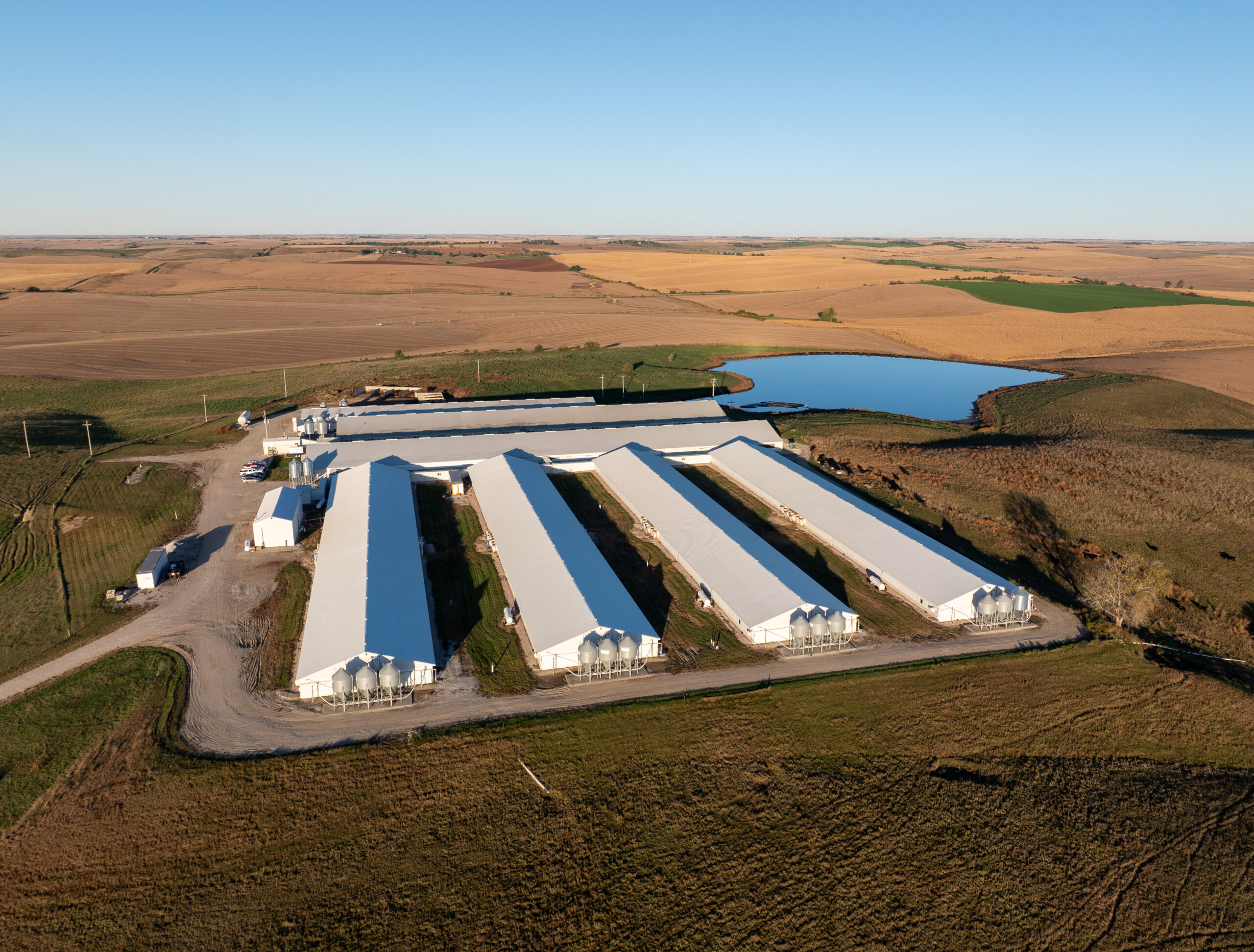 The mysterious death of a teen at Pillen Family Farms